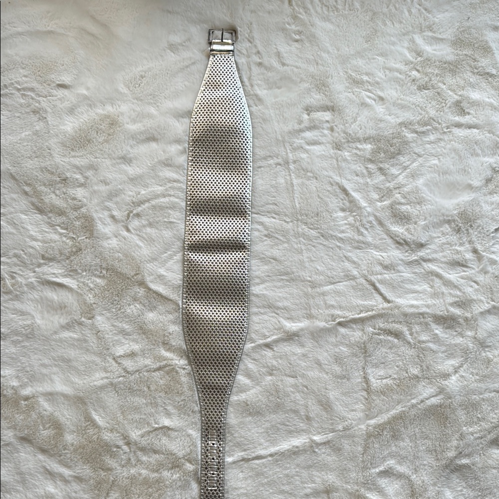 Silver Mesh Watch Band